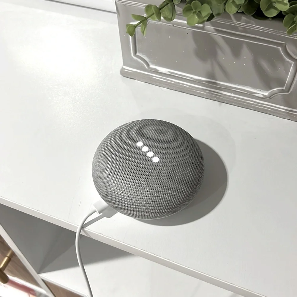 GOOGLE HOME MINI